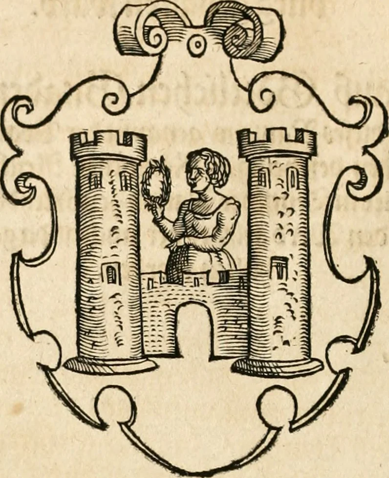 An illustration from Thurnier Buch : von Anfang, Vrsachen, Vrsprung vnd Herkommen der Thurnier im Heyligen Römischen Reich Teutscher Nation, wie viel offentlicher Landthurnier von Keyser Heinrich dem Ersten dieses Namens an biss auff den jetztregierenden Keyser Maximilian den Andern ... vnd in welchen Stetten die alle gehalten ... Alles jetzunder von neuwem zusammen getragen, mit schönen neuwen Figuren, sonderlich auch der adelischen Wappen, auffs schönest zugericht .., 1566, leaf 55