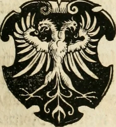 An illustration from Thurnier Buch : von Anfang, Vrsachen, Vrsprung vnd Herkommen der Thurnier im Heyligen Römischen Reich Teutscher Nation, wie viel offentlicher Landthurnier von Keyser Heinrich dem Ersten dieses Namens an biss auff den jetztregierenden Keyser Maximilian den Andern ... vnd in welchen Stetten die alle gehalten ... Alles jetzunder von neuwem zusammen getragen, mit schönen neuwen Figuren, sonderlich auch der adelischen Wappen, auffs schönest zugericht .., 1566, leaf 78
