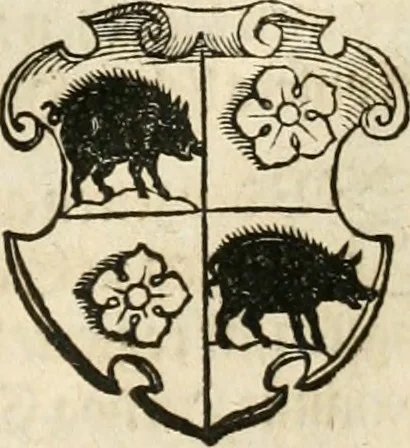 An illustration from Thurnier Buch : von Anfang, Vrsachen, Vrsprung vnd Herkommen der Thurnier im Heyligen Römischen Reich Teutscher Nation, wie viel offentlicher Landthurnier von Keyser Heinrich dem Ersten dieses Namens an biss auff den jetztregierenden Keyser Maximilian den Andern ... vnd in welchen Stetten die alle gehalten ... Alles jetzunder von neuwem zusammen getragen, mit schönen neuwen Figuren, sonderlich auch der adelischen Wappen, auffs schönest zugericht .., 1566, leaf 78