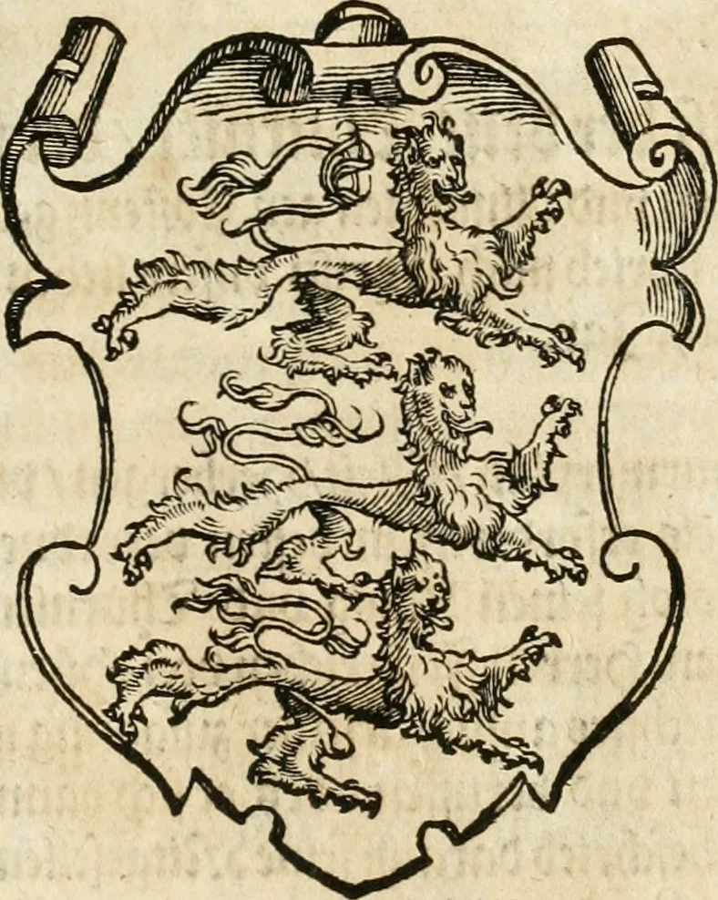 An illustration from Thurnier Buch : von Anfang, Vrsachen, Vrsprung vnd Herkommen der Thurnier im Heyligen Römischen Reich Teutscher Nation, wie viel offentlicher Landthurnier von Keyser Heinrich dem Ersten dieses Namens an biss auff den jetztregierenden Keyser Maximilian den Andern ... vnd in welchen Stetten die alle gehalten ... Alles jetzunder von neuwem zusammen getragen, mit schönen neuwen Figuren, sonderlich auch der adelischen Wappen, auffs schönest zugericht .., 1566, leaf 92