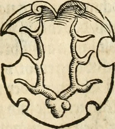 An illustration from Thurnier Buch : von Anfang, Vrsachen, Vrsprung vnd Herkommen der Thurnier im Heyligen Römischen Reich Teutscher Nation, wie viel offentlicher Landthurnier von Keyser Heinrich dem Ersten dieses Namens an biss auff den jetztregierenden Keyser Maximilian den Andern ... vnd in welchen Stetten die alle gehalten ... Alles jetzunder von neuwem zusammen getragen, mit schönen neuwen Figuren, sonderlich auch der adelischen Wappen, auffs schönest zugericht .., 1566, leaf 92