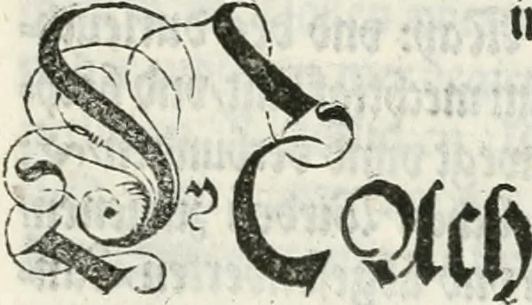 An illustration from Thurnier Buch, warhafftiger ritterlicher Thate : so in dem Monat Junij des vergangnen LX. Jars in vnd ausserhalb der Statt Wienn zu Ross vnd zu Fuess, auff Wasser vnd Lannd gehalten worden, mit schönen Figuren contrafeet : vnd dem Allerdurchleuchtigisten, Grossmechtigisten Fürsten vnnd Herrn, Herren Ferdinando, erweltem Römischen Kayser ..., 1561, leaf 148