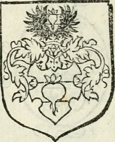 An illustration from Thurnier Buch, warhafftiger ritterlicher Thate : so in dem Monat Junij des vergangnen LX. Jars in vnd ausserhalb der Statt Wienn zu Ross vnd zu Fuess, auff Wasser vnd Lannd gehalten worden, mit schönen Figuren contrafeet : vnd dem Allerdurchleuchtigisten, Grossmechtigisten Fürsten vnnd Herrn, Herren Ferdinando, erweltem Römischen Kayser ..., 1561, leaf 17