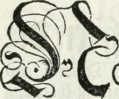 An illustration from Thurnier Buch, warhafftiger ritterlicher Thate : so in dem Monat Junij des vergangnen LX. Jars in vnd ausserhalb der Statt Wienn zu Ross vnd zu Fuess, auff Wasser vnd Lannd gehalten worden, mit schönen Figuren contrafeet : vnd dem Allerdurchleuchtigisten, Grossmechtigisten Fürsten vnnd Herrn, Herren Ferdinando, erweltem Römischen Kayser ..., 1561, leaf 186