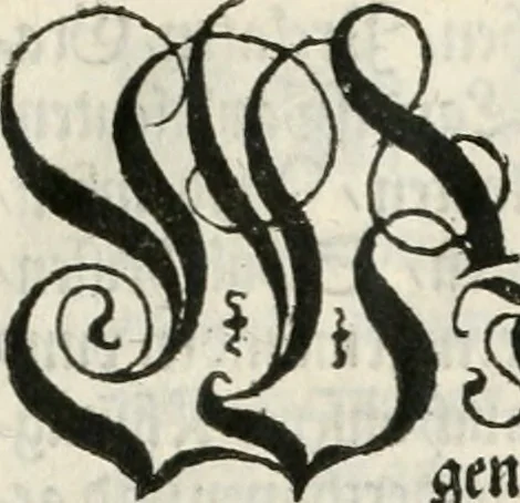 An illustration from Thurnier Buch, warhafftiger ritterlicher Thate : so in dem Monat Junij des vergangnen LX. Jars in vnd ausserhalb der Statt Wienn zu Ross vnd zu Fuess, auff Wasser vnd Lannd gehalten worden, mit schönen Figuren contrafeet : vnd dem Allerdurchleuchtigisten, Grossmechtigisten Fürsten vnnd Herrn, Herren Ferdinando, erweltem Römischen Kayser ..., 1561, leaf 6