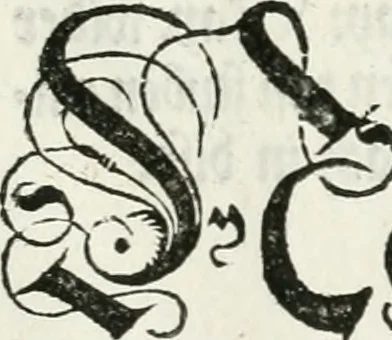 An illustration from Thurnier Buch, warhafftiger ritterlicher Thate : so in dem Monat Junij des vergangnen LX. Jars in vnd ausserhalb der Statt Wienn zu Ross vnd zu Fuess, auff Wasser vnd Lannd gehalten worden, mit schönen Figuren contrafeet : vnd dem Allerdurchleuchtigisten, Grossmechtigisten Fürsten vnnd Herrn, Herren Ferdinando, erweltem Römischen Kayser ..., 1561, leaf 70