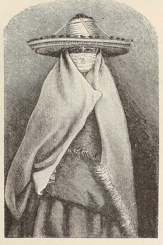 An illustration from Timbouctou, voyage au Maroc au Sahara et au Soudan, 1886, leaf 115