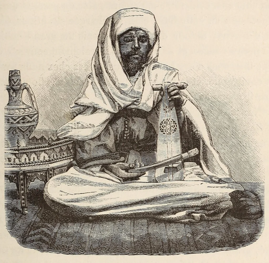 An illustration from Timbouctou, voyage au Maroc au Sahara et au Soudan, 1886, leaf 199