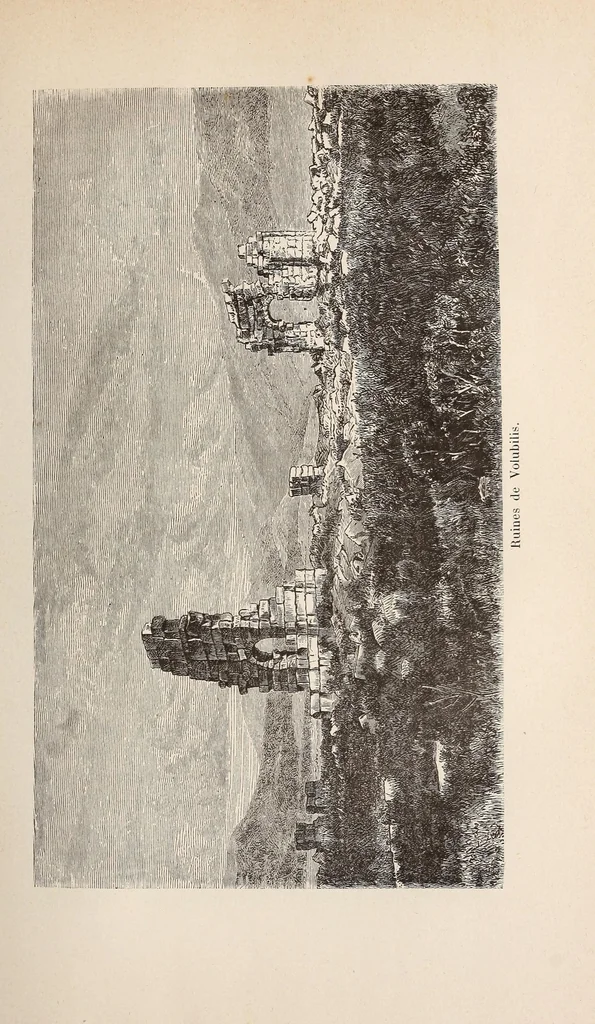 An illustration from Timbouctou, voyage au Maroc au Sahara et au Soudan, 1886, leaf 233