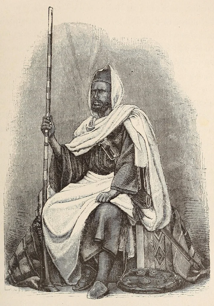 An illustration from Timbouctou, voyage au Maroc au Sahara et au Soudan, 1886, leaf 463