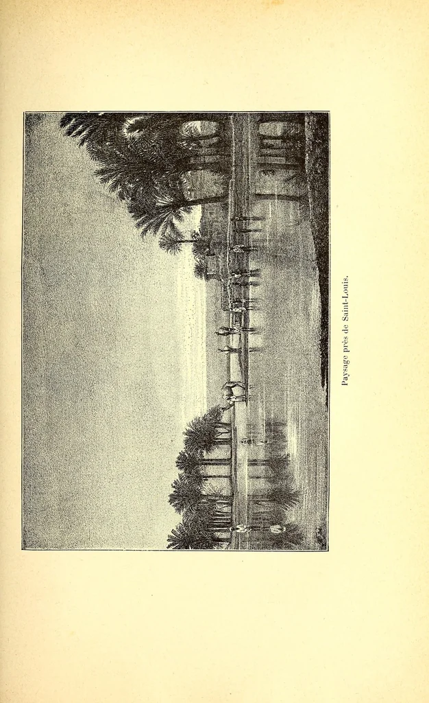 An illustration from Timbouctou, voyage au Maroc au Sahara et au Soudan, 1886, leaf 375