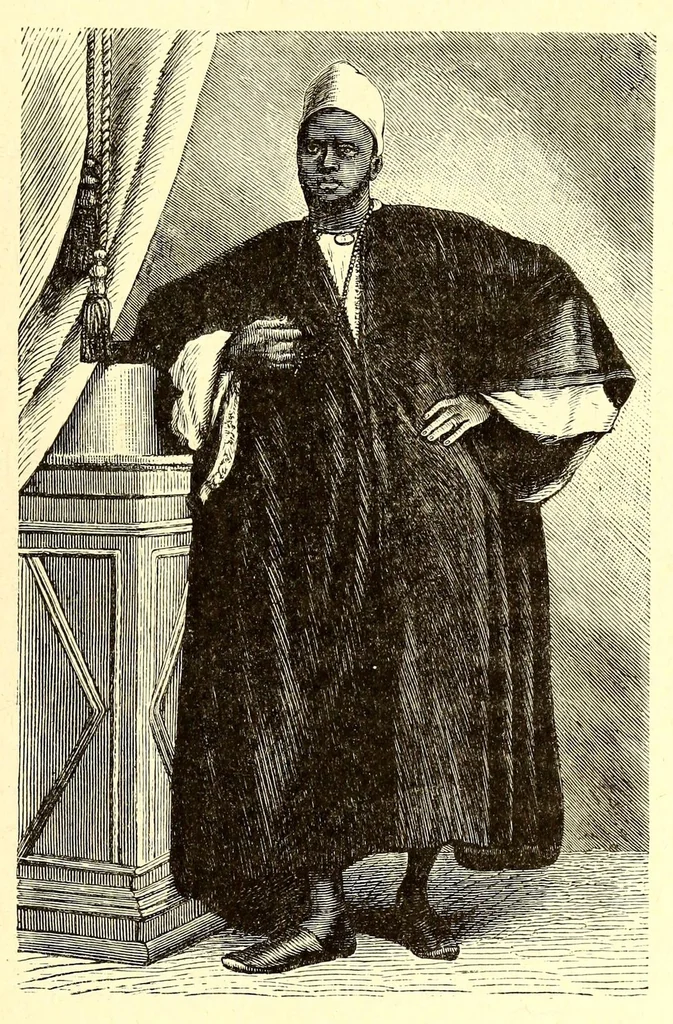 An illustration from Timbouctou, voyage au Maroc au Sahara et au Soudan, 1886, leaf 385