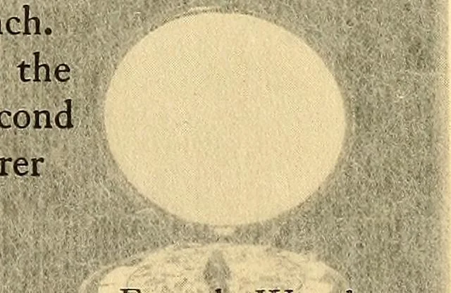 An illustration from Time telling through the ages, 1919, leaf 196