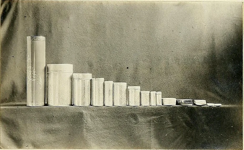 An illustration from Tin can toys and how to make them, 1916, leaf 16