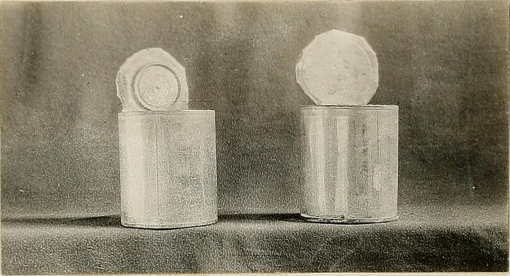 An illustration from Tin can toys and how to make them, 1916, leaf 17