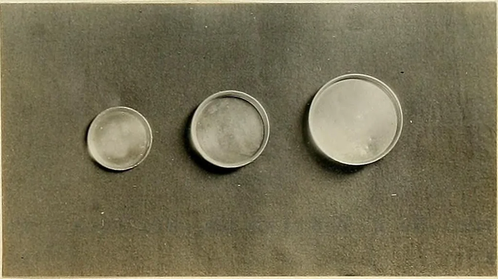 An illustration from Tin can toys and how to make them, 1916, leaf 32