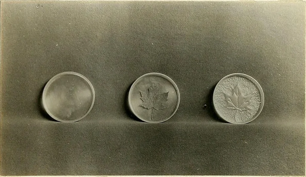 An illustration from Tin can toys and how to make them, 1916, leaf 36