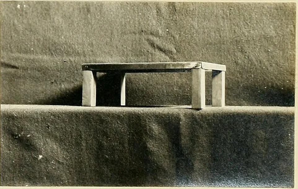 An illustration from Tin can toys and how to make them, 1916, leaf 72