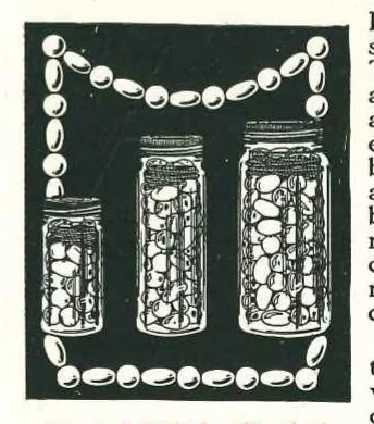 An illustration from Tinker Toys 1924, 1924, leaf 8