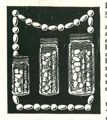 An illustration from Tinker Toys 1925, 1925, leaf 8