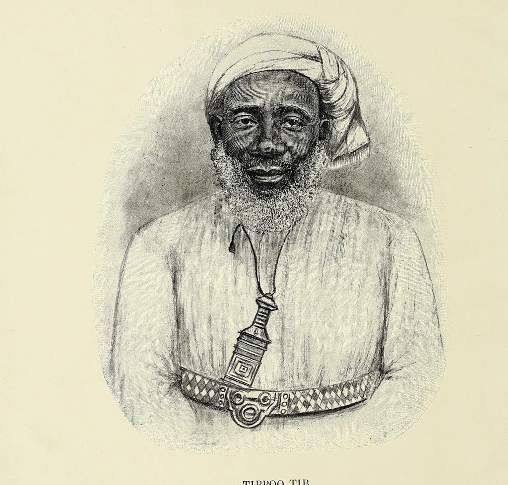 An illustration from Tippoo Tib, the story of his career in Central Africa, 1907, leaf 8