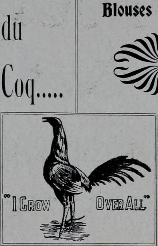 An illustration from Tissus et nouveauts 1900, 1900, leaf 116