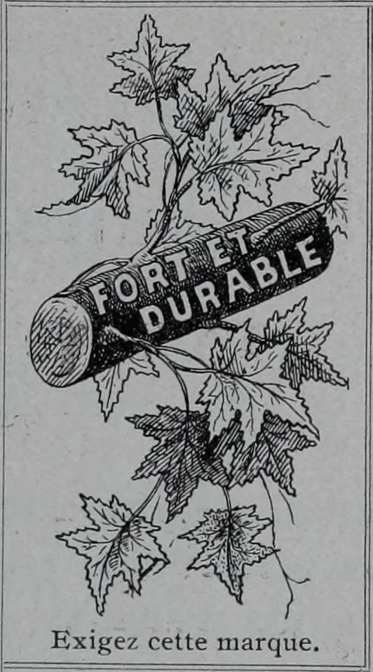 An illustration from Tissus et nouveauts 1900, 1900, leaf 116