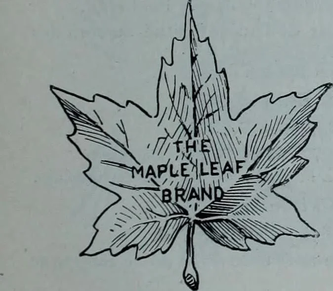 An illustration from Tissus et nouveauts 1900, 1900, leaf 152