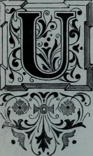 An illustration from Tissus et nouveauts 1900, 1900, leaf 160
