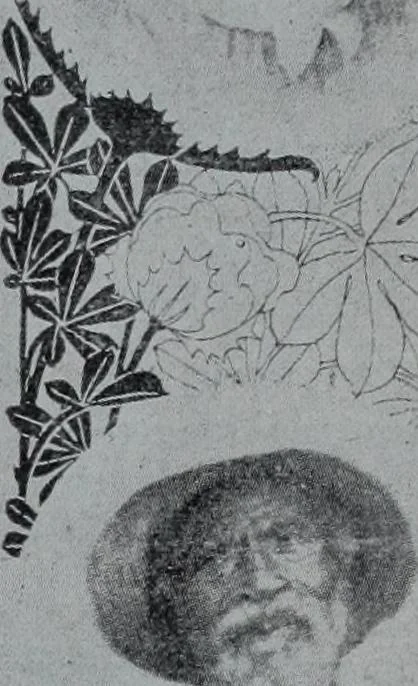 An illustration from Tissus et nouveauts 1900, 1900, leaf 178