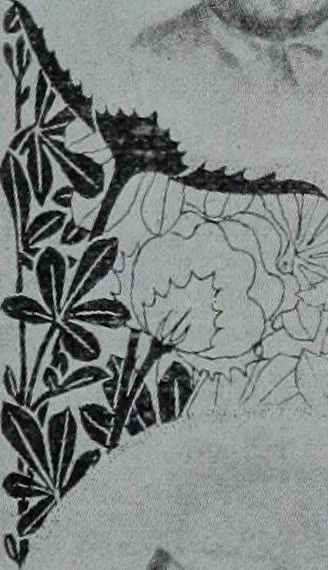An illustration from Tissus et nouveauts 1900, 1900, leaf 178
