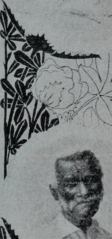 An illustration from Tissus et nouveauts 1900, 1900, leaf 178
