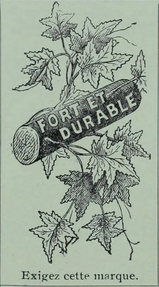 An illustration from Tissus et nouveauts 1900, 1900, leaf 196