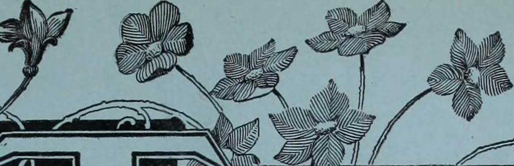 An illustration from Tissus et nouveauts 1900, 1900, leaf 198