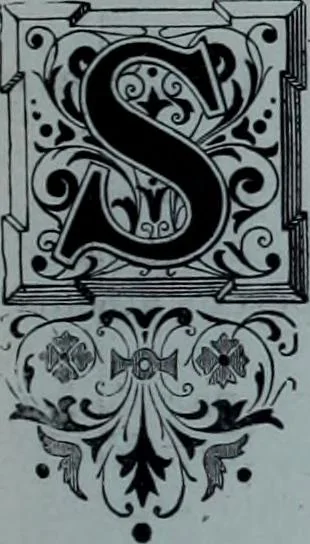 An illustration from Tissus et nouveauts 1900, 1900, leaf 200