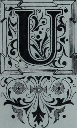 An illustration from Tissus et nouveauts 1900, 1900, leaf 236