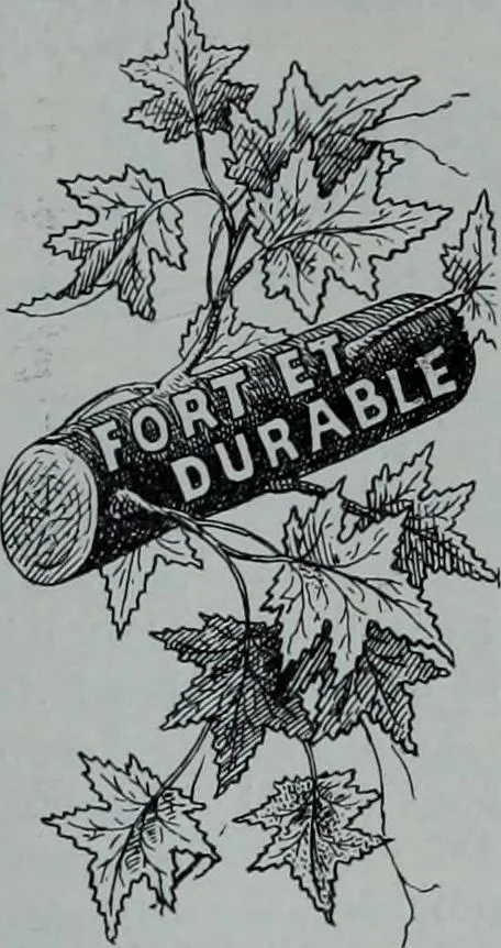 An illustration from Tissus et nouveauts 1900, 1900, leaf 32
