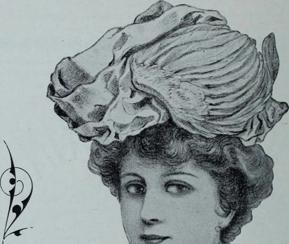 An illustration from Tissus et nouveauts 1900, 1900, leaf 333