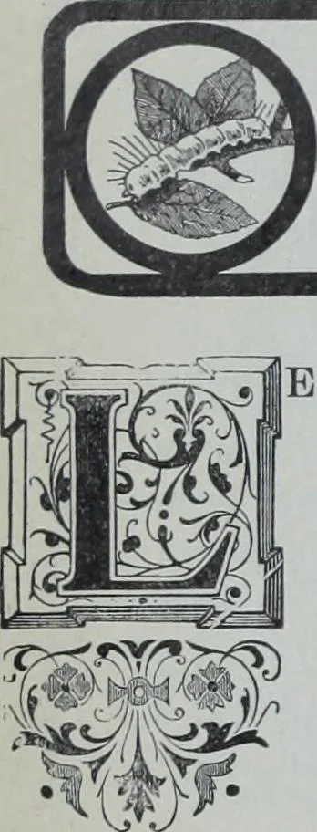 An illustration from Tissus et nouveauts 1900, 1900, leaf 413