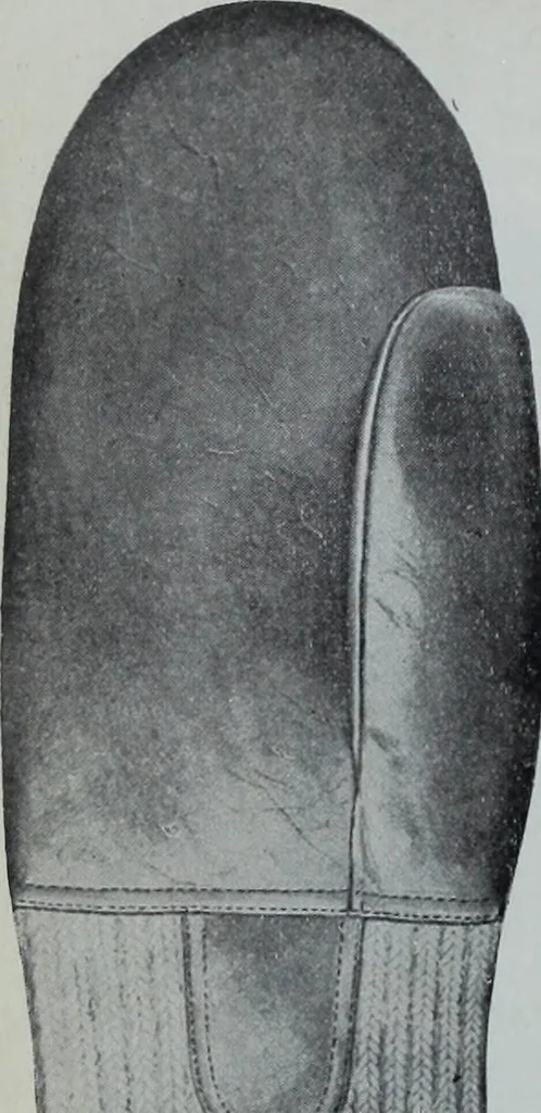 An illustration from Tissus et nouveauts 1900, 1900, leaf 417