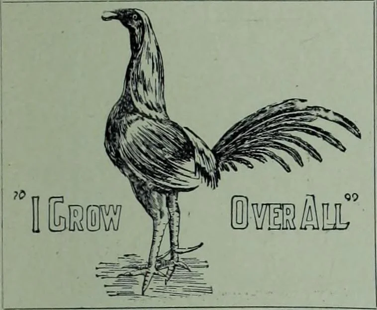 An illustration from Tissus et nouveauts 1900, 1900, leaf 44