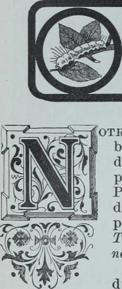 An illustration from Tissus et nouveauts 1900, 1900, leaf 493
