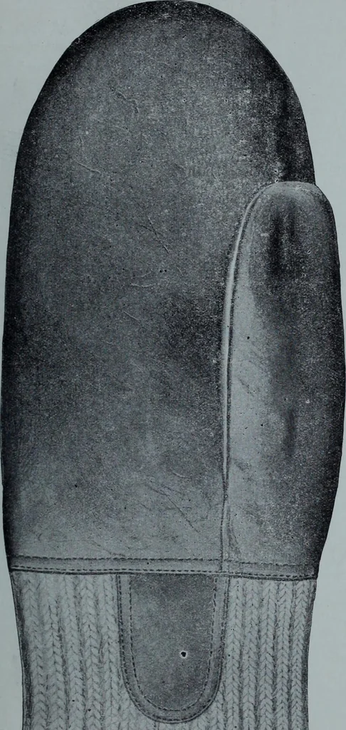 An illustration from Tissus et nouveauts 1900, 1900, leaf 496