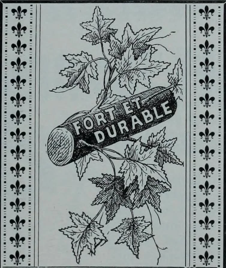 An illustration from Tissus et nouveauts 1900, 1900, leaf 58