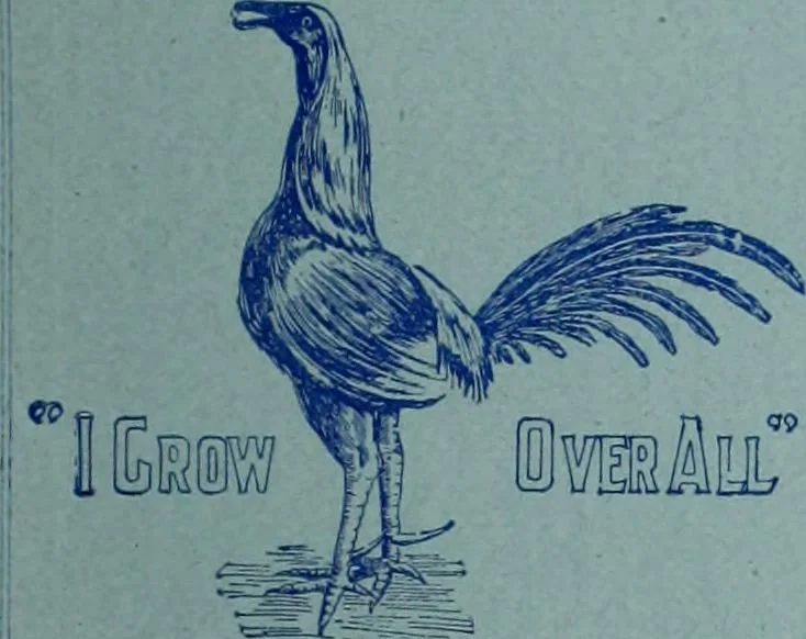 An illustration from Tissus et nouveauts 1900, 1900, leaf 80