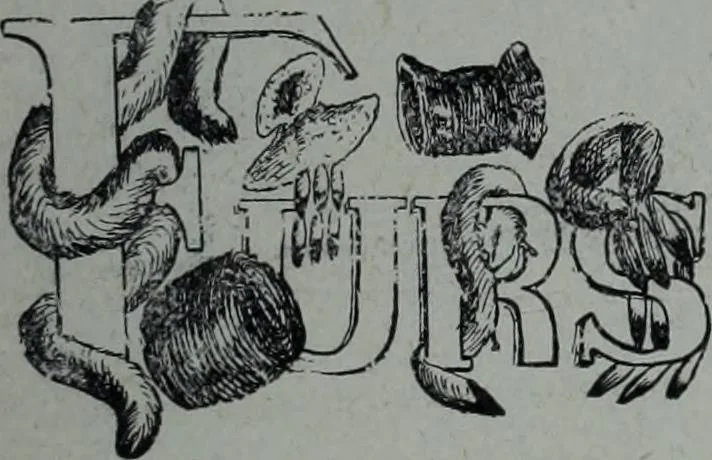 An illustration from Tissus et nouveauts 1901, 1901, leaf 170