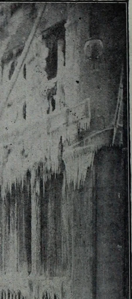 An illustration from Tissus et nouveauts 1901, 1901, leaf 223