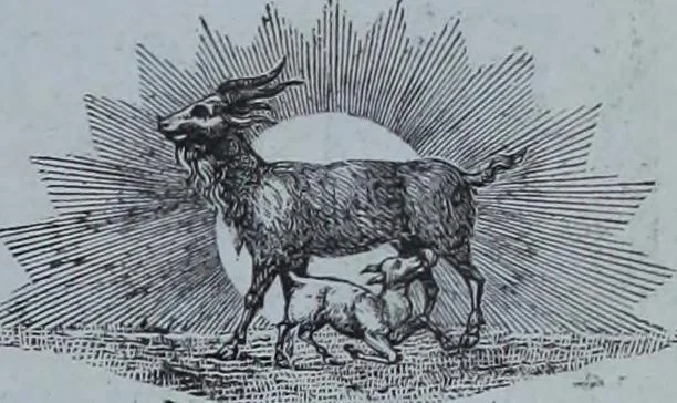 An illustration from Tissus et nouveauts 1901, 1901, leaf 278