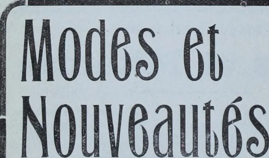 An illustration from Tissus et nouveauts 1901, 1901, leaf 285