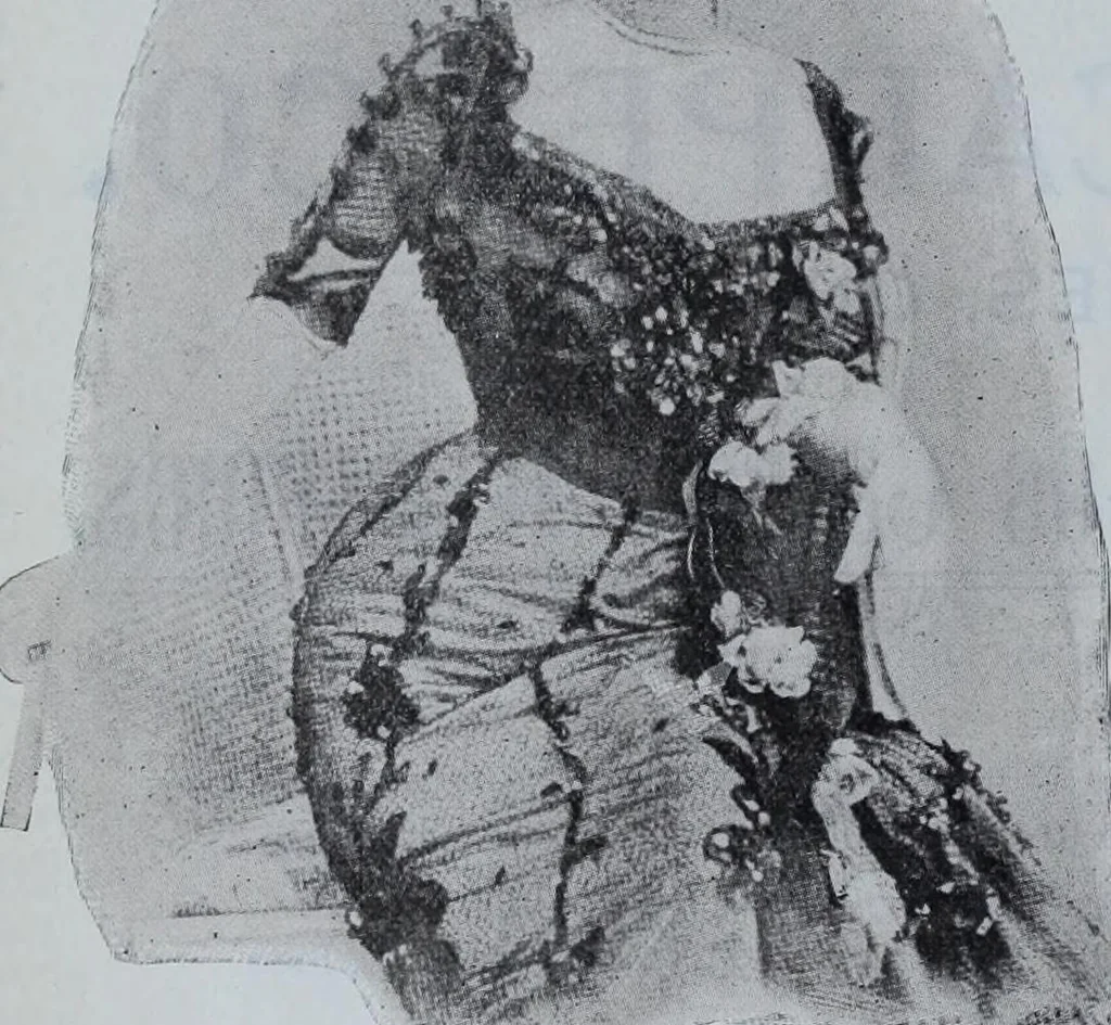 An illustration from Tissus et nouveauts 1901, 1901, leaf 351
